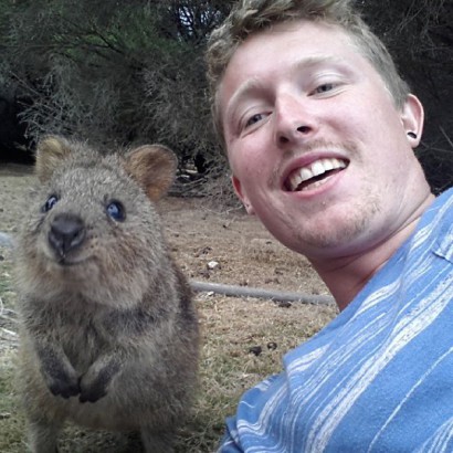 Fényképezkedjen kurtafarkú kenguruval!
