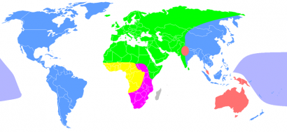 Rasszok: a kék a mongoloid