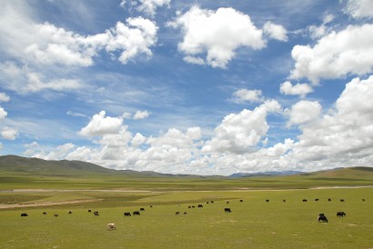 Tibet XP