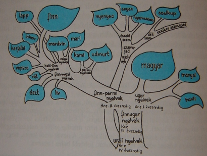 A finnugor családfa Antalné szerint