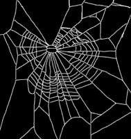 A füvező pók hálója