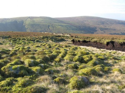 A háttérben a heggyé lett domb – Thack Moor, Anglia