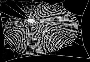 A józan pók hálója