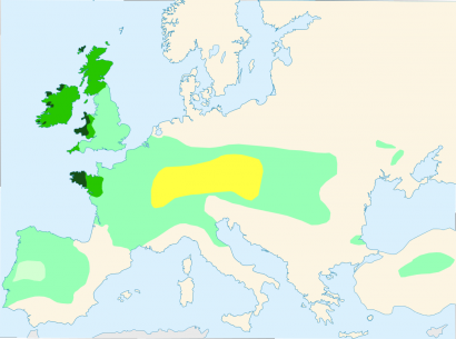 A kelta nyelvek az i. e. 6. (sárga), az i. e. 3. (kékeszöld), és a 21. században (sötétzöld). A világoszöld azt a területet jelzi, ahol a középkor végén is kelta volt a fő nyelv „ anchor=