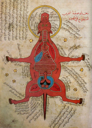 A ló anatómiája egy 15. századi egyiptomi iraton