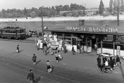 A Margit-sziget fái közül kikandikál az Úttörőstadion épülete (1954)