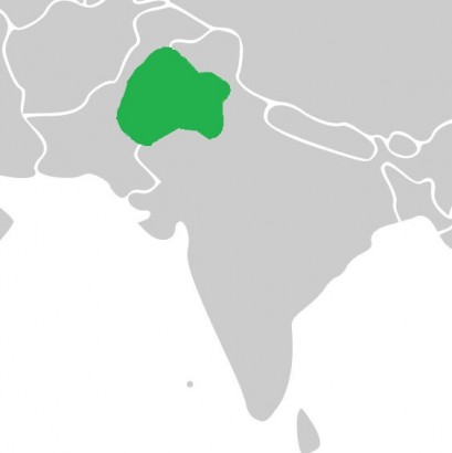 A pandzsábi régió Pakisztán és India határán