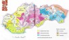 A szlovák nyelvjárások (sárga: nyugat-, rózsaszín: közép-, kék: keletszlovák nyelvjárások)