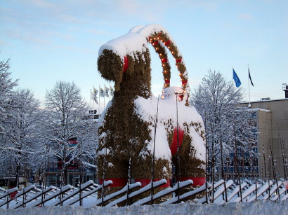 A(z egyik) gävlei kecske 2009-ből