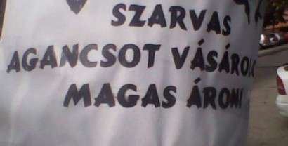 Szarvas agancs, avagy <br />mi a különbség a szarv és az agancs között?