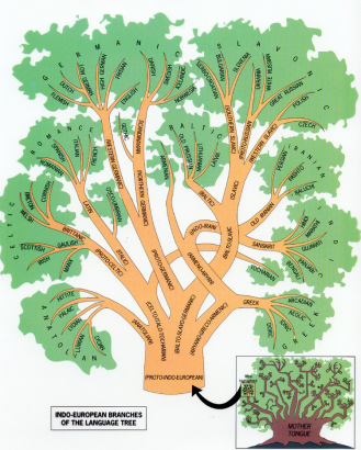 Az indoeurópai családfa