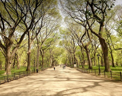 Central Park, New York