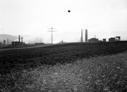 Dorogi idill 1947-ből: a búzamező mögött a Szent Borbála templom és a szenet felhasználó brikettgyár, valamint a hőerőmű