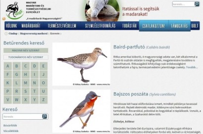 Dróton: Magyarország minden madara a neten!