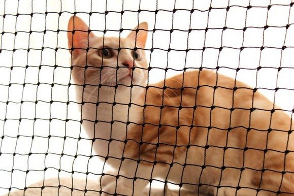 Картинка cat net. Сетка для защиты кошек от падения. Сетка на балкон от падения кошек. Cat net. Сетки против выпадения кошки.