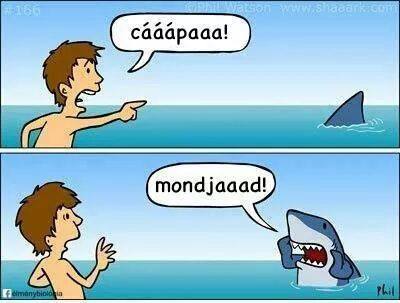 Ha a cápák beszélni tudnának...