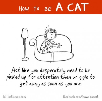 Hogyan legyél macska?