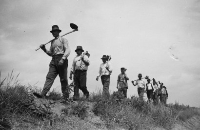 Kapások 1949-ből – nem a Budai Várban kapáltak