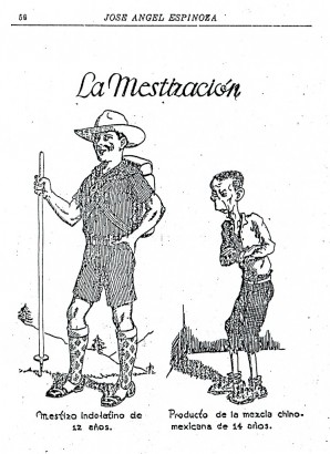 José Ángel Espinoza „A sonorai példa” című, 1932-es könyvében megjelent illusztráció a fajok keveredésére. A rasszista ábrán egy 12 éves indián-latin származék és egy 14 éves, kínai-mexikói kapcsolatból származó „termék”