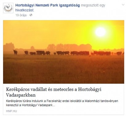 Kerékpáros vadállat a Hortobágyon?