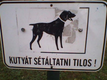 Kutyát sétáltatni tilos!