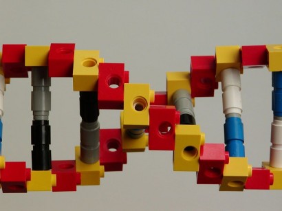 Lego-DNS