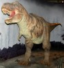 Tyrannosaurus Rex (korábbi nevén Tyler Gold)