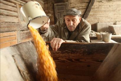 Mérő, véka, köböl... A 2008-ban készült fotón a 82 éves Simó Árpád a romániai Máréfalván működteti családi malmukat, amely immár 250 éve őröl gabonát a falunak és környékbeli települések lakosainak.