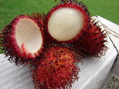 Ne nézz bután – rambután!