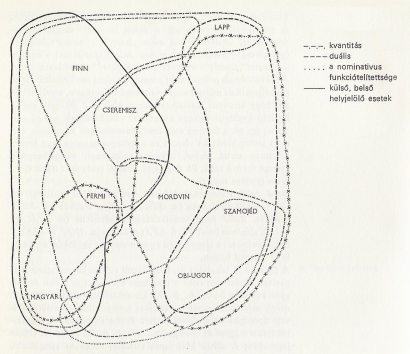  Néhány nyelvi jelenség megoszlása a nyelvcsaládon belül