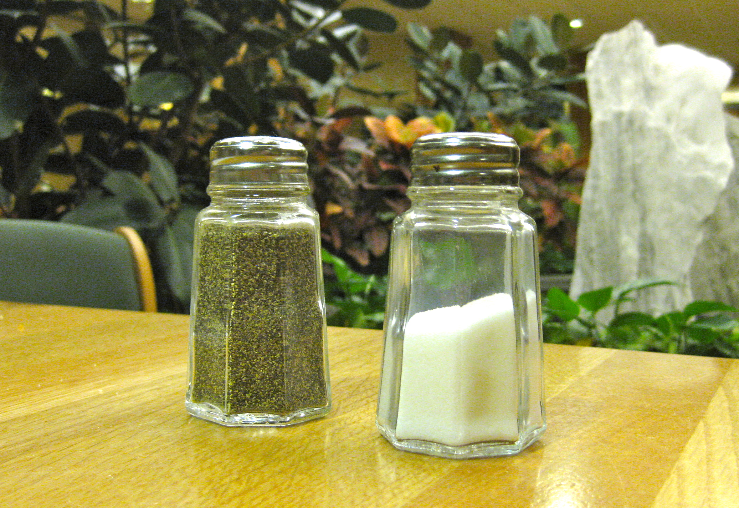 Image result for salt,nari