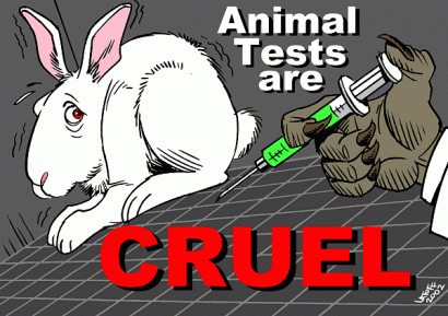 Nyúl egy állatkísérleteket ellenző plakáton
