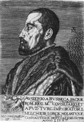 Ogier Ghiselin de Busbecq – Melchior Lorch 1557-es metszetén