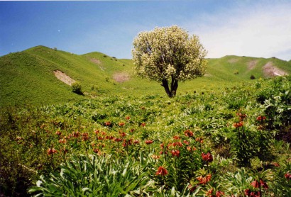 Paradicsomi állapotok uralkodnak a jövő század regényes őstörténetében a Pamír hegyei közt