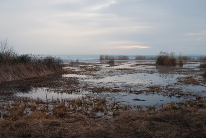 Régi magyar legendák szerint a kolén a Balaton mélyén élt, csak a pogány újév éjjelén volt ébren, egyébként a tó mélyén aludt egész évben