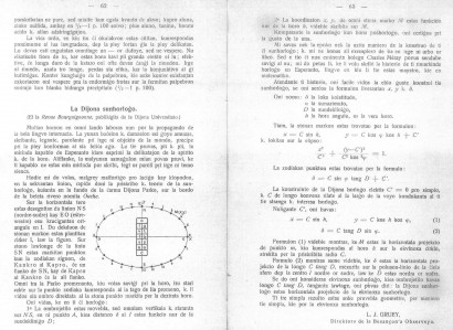 Részlet a „Fundamento de la lingvo »ESPERANTIDO«. Nova formo de la lingvo internacia »ESPERANTO« verkita da »ANTIDO« (Az „ESPERANTIDO” nyelv alapja. Az „ESPERANTO” nemzetközi nyelv új formája, alkotta „ANTIDO”.) című könyvből