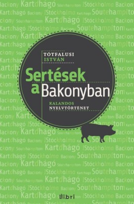 Sertések (botladoznak) a  Bakonyban